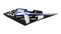 Fairing kit & decor Radical Racing Fairing kit & decor Radical Racing