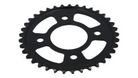 Kettenrad Esjot