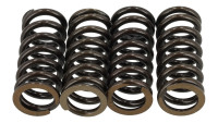 Ventilfedern Set Fasstek Racing Ventilfedern Set Fasstek Racing