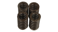 Valve springs Set Cardinals Racing