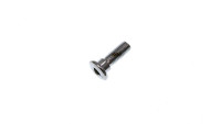 Brake disc screw