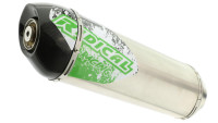 Slip- On rear silencer Radical Racing Inox