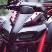 Trim panel, light mask
