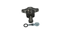 Timing chain tensioner OEM level