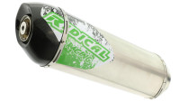 Exhaust system Radical Racing Inox