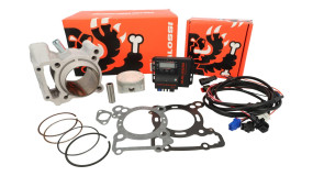 Zylinderkit & Tuning Zylinderkit & Tuning ECU Malossi 166cc Force Master 2.1