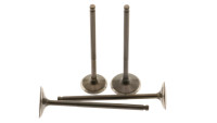 Cylinder head valve kit