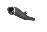 Exhaust system Radical Racing GP Carbon FORCE Black Line