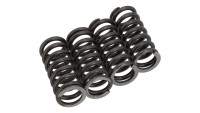 Valve springs UMA K2