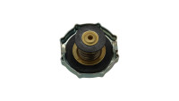 Fantic OEM Radiator Cap