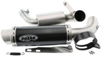 Exhaust system Shark Factory