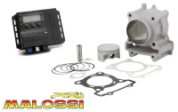 Cylinder kit 183cc & Tuning ECU Malossi