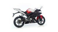Exhaust system Leo Vince SBK Black Line