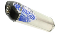 Slip- On rear silencer Radical Racing Inox