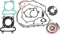Motor gasket set Motoflow