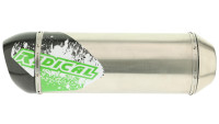 Slip- On rear silencer Radical Racing Inox