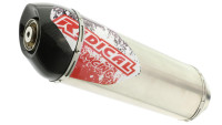Slip- On rear silencer Radical Racing Inox