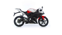 Exhaust system Leo Vince SBK Black Line