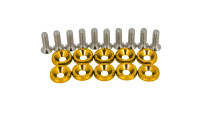 Cladding screw set