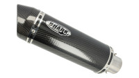 Exhaust system SHARK Street GP