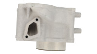Zylinderkit Malossi 183cc