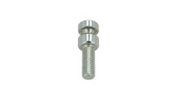 Shear bolt Aprilia OEM