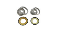 Steering head bearing