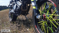 Spoke / Spoke Cover Set Radical Racing