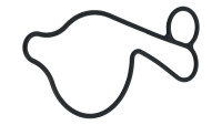 Water pump gasket Suzuki OEM