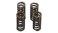 Ventilfedern Set Fasstek Racing