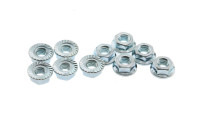 Pack of 10 nuts