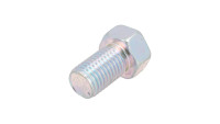 Oil drain plug Suzuki OEM
