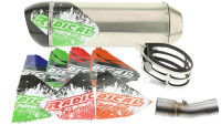 Slip- On rear silencer Radical Racing Inox