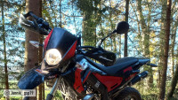 Handguards Polisport SHARP