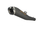 Exhaust rear silencer Radical Racing GP Carbon Black Line