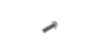 Screw Piaggio OEM