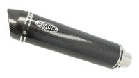 Auspuffanlage Shark Street GP